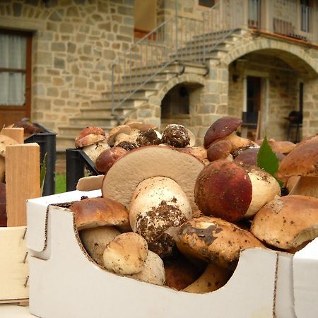 La Casa Del Sarto - Federicofarm Villa Pontremoli Bagian luar foto