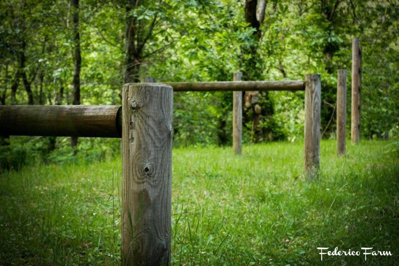 La Casa Del Sarto - Federicofarm Villa Pontremoli Bagian luar foto