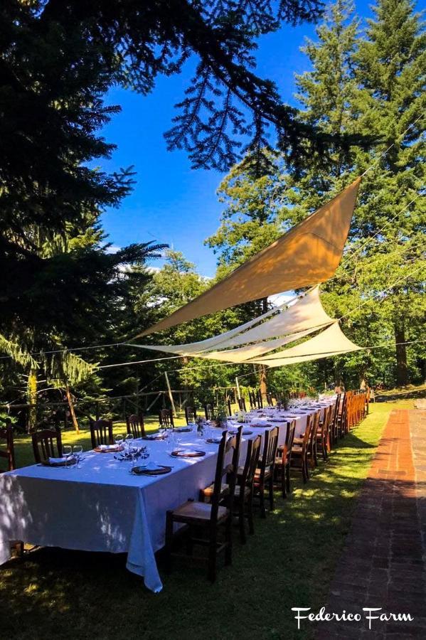 La Casa Del Sarto - Federicofarm Villa Pontremoli Bagian luar foto